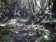 Parque Arqueológico La Zarza y Caldera de Agua